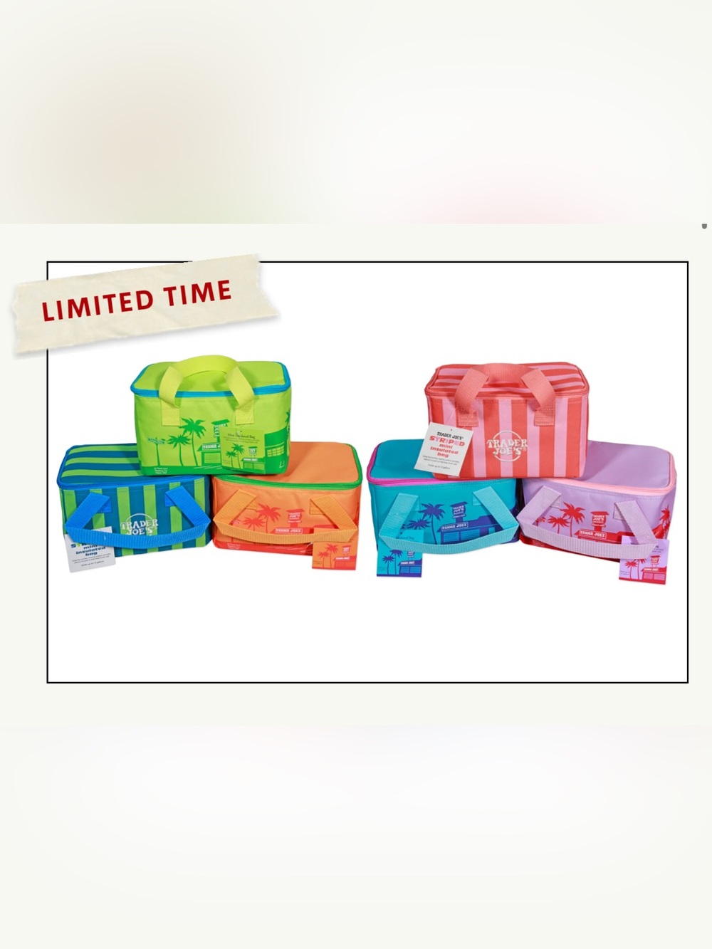 NWT Set of 6, Trader Joe's Mini Insulated Tote Summer Collection